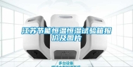 江苏节能恒温恒湿试验箱报价及图片
