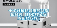十个性价比最高的除湿机品牌（什么牌子除湿机比较好）
