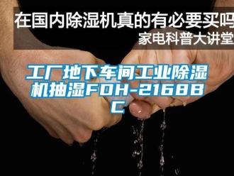 常见问题工厂地下车间工业除湿机抽湿FDH-2168BC