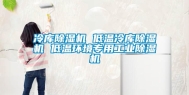 冷库除湿机 低温冷库除湿机 低温环境专用工业除湿机