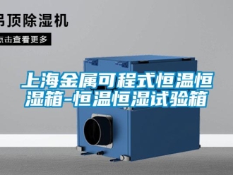 知识百科上海金属可程式恒温恒湿箱-恒温恒湿试验箱