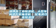 淄博市工业除湿机，大型车间地下室抽湿机  配电房仓库除湿器