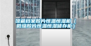 馆藏档案胶片恒温恒湿柜（微缩胶片恒温恒湿储存柜）