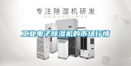 工业电子除湿机的市场行情