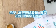 合肥 高低温试验箱 可程式恒温恒湿试验箱