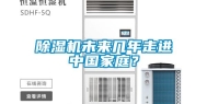 除湿机未来几年走进中国家庭？