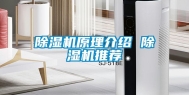 除湿机原理介绍 除湿机推荐