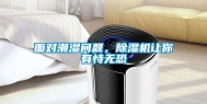 面对潮湿问题，除湿机让你有恃无恐