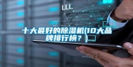十大最好的除湿机(10大品牌排行榜？)