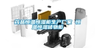 药品恒温恒湿柜生产厂家 恒温恒湿储物柜