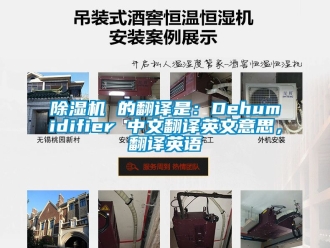 企业新闻除湿机 的翻译是：Dehumidifier 中文翻译英文意思，翻译英语