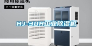 HJ-30H工业除湿机