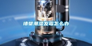 墙壁潮湿发霉怎么办