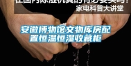 安徽博物馆文物库房配置恒温恒湿收藏柜