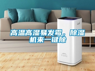 行业新闻高温高湿易发霉，除湿机来一键除