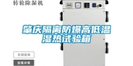 肇庆隔离防爆高低温湿热试验箱