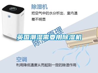 行业新闻英国潮湿需要用除湿机
