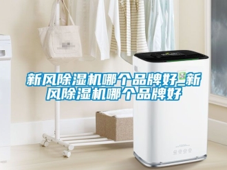 常见问题新风除湿机哪个品牌好_新风除湿机哪个品牌好