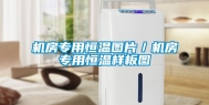 机房专用恒温图片／机房专用恒温样板图