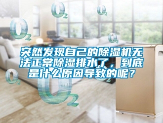 行业新闻突然发现自己的除湿机无法正常除湿排水了，到底是什么原因导致的呢？