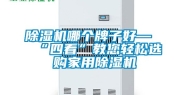 除湿机哪个牌子好—“四看”教您轻松选购家用除湿机