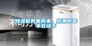 除湿机有备而来，抗潮防霉不在话下