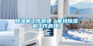 除湿机工作原理（蒙特除湿机工作原理）