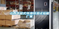 山西可程式恒温恒湿试验箱厂家