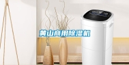 黄山商用除湿机