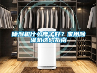 常见问题除湿机什么牌子好？家用除湿机选购指南