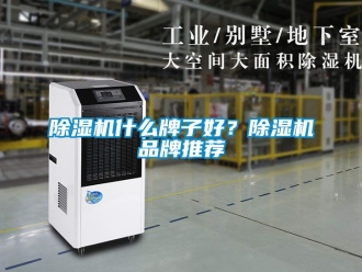 企业新闻除湿机什么牌子好？除湿机品牌推荐