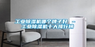 工业除湿机哪个牌子好 – 工业除湿机十大排行榜
