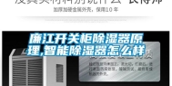 廉江开关柜除湿器原理,智能除湿器怎么样