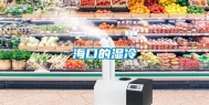 海口的湿冷