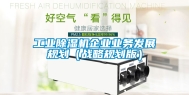 工业除湿机企业业务发展规划（战略规划版）