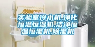 实验室冷水机,净化恒温恒湿机,洁净恒温恒湿机,除湿机
