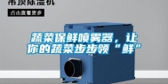 蔬菜保鲜喷雾器，让你的蔬菜步步领“鲜”