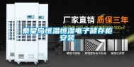 秦皇岛恒温恒湿电子储存柜安装