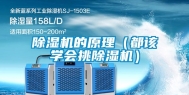 除湿机的原理（都该学会挑除湿机）