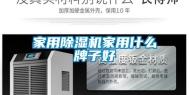 家用除湿机家用什么牌子好