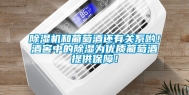 除湿机和葡萄酒还有关系哟！酒窖中的除湿为优质葡萄酒提供保障！