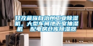 甘孜藏族自治州工业除湿机，大型车间地下室抽湿机  配电房仓库除湿器