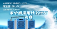 家中潮湿用什么地毯为宜