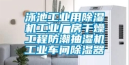 泳池工业用除湿机工业厂房干燥工程防潮抽湿机工业车间除湿器