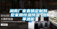 湖南厂家直销定制别墅家用恒温恒湿 皮革酒柜