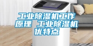 工业除湿机工作原理 工业除湿机优特点