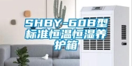 SHBY-60B型标准恒温恒湿养护箱