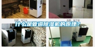 什么是管道除湿机的原理？