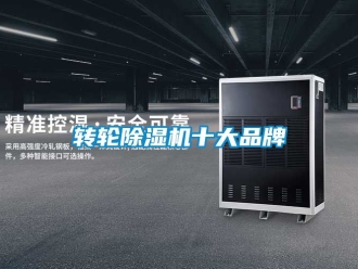 常见问题转轮除湿机十大品牌