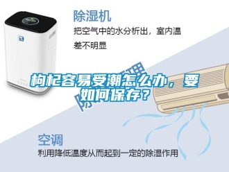常见问题枸杞容易受潮怎么办，要如何保存？